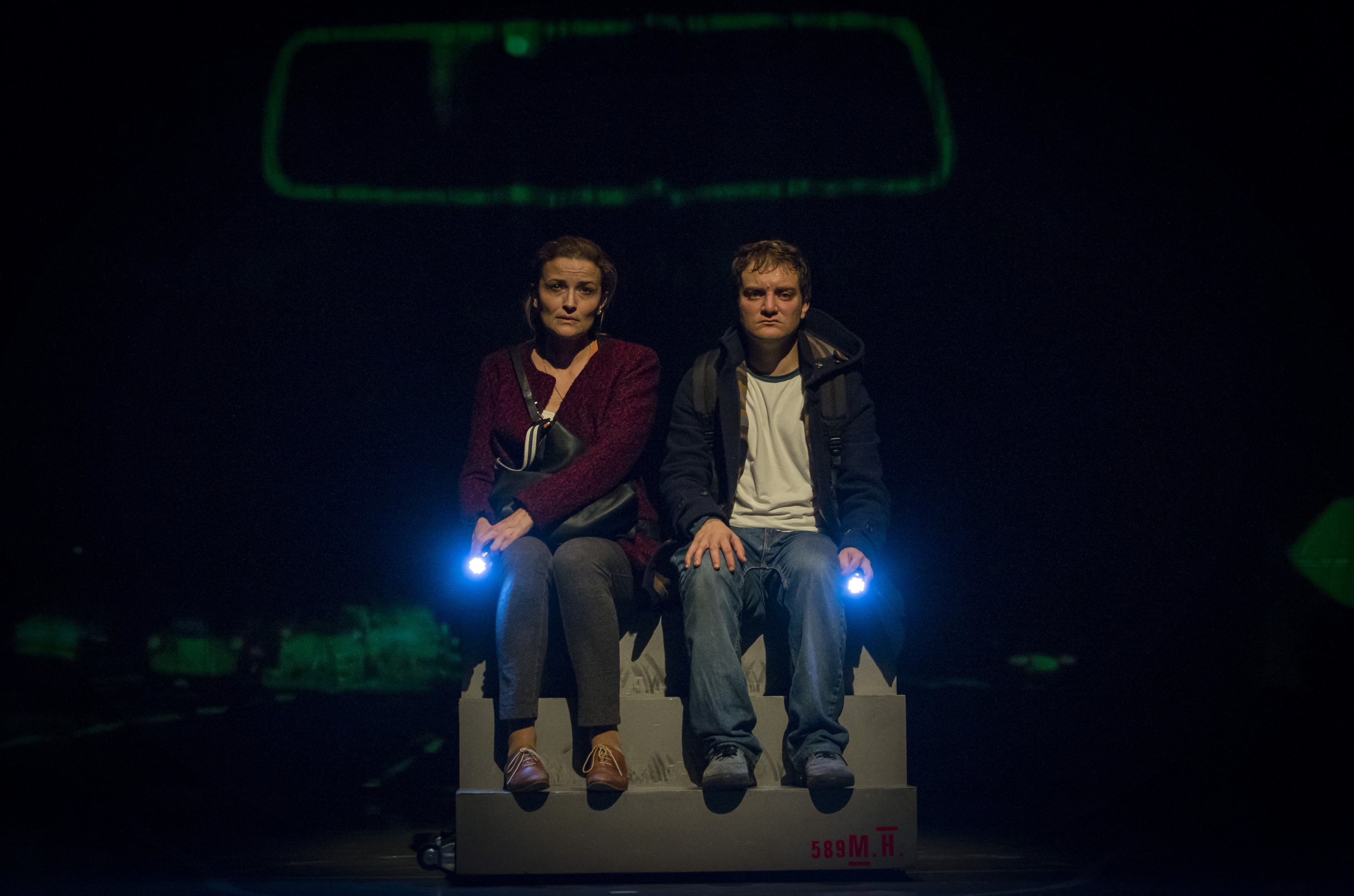 El curiós incident del gos a mitjanit