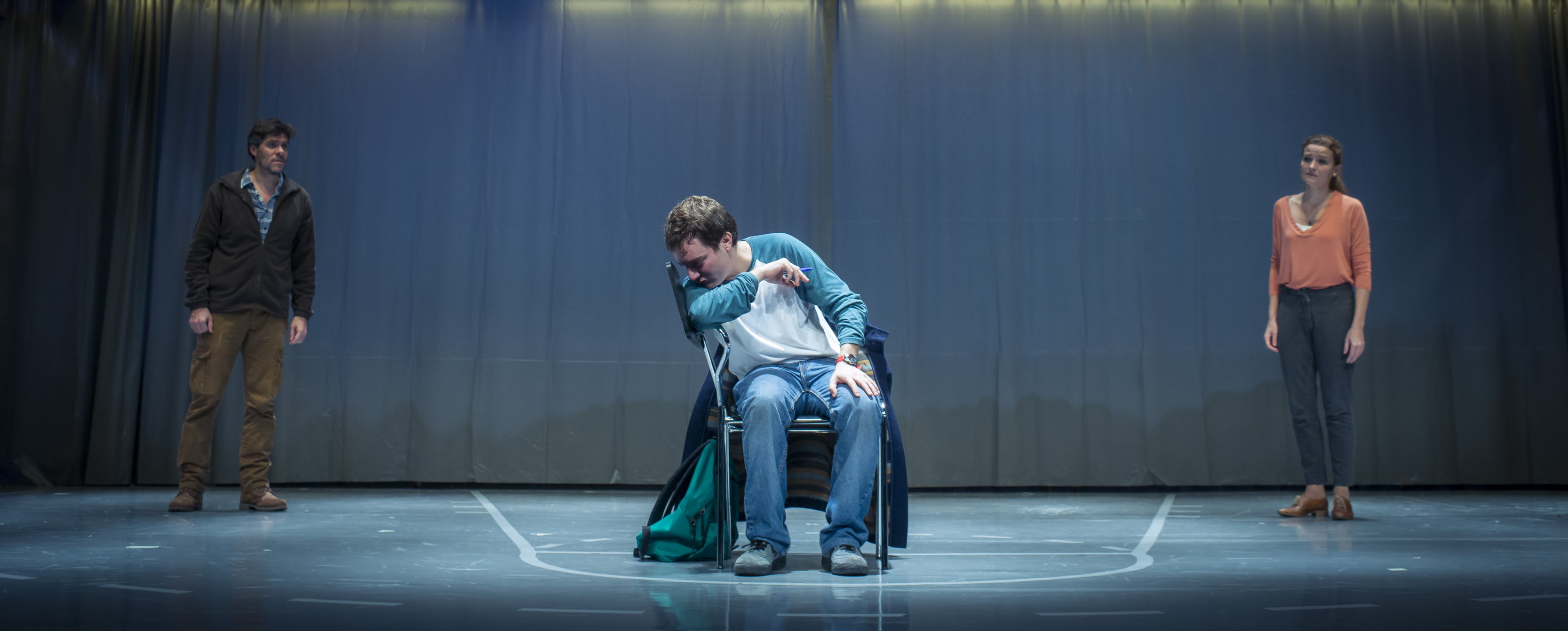 El curiós incident del gos a mitjanit