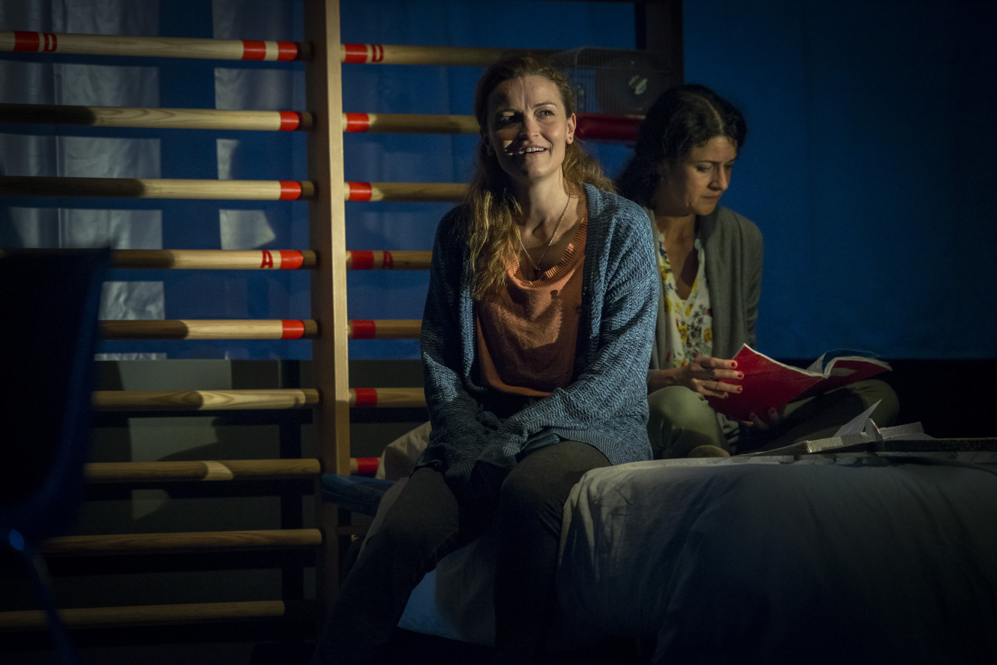 El curiós incident del gos a mitjanit