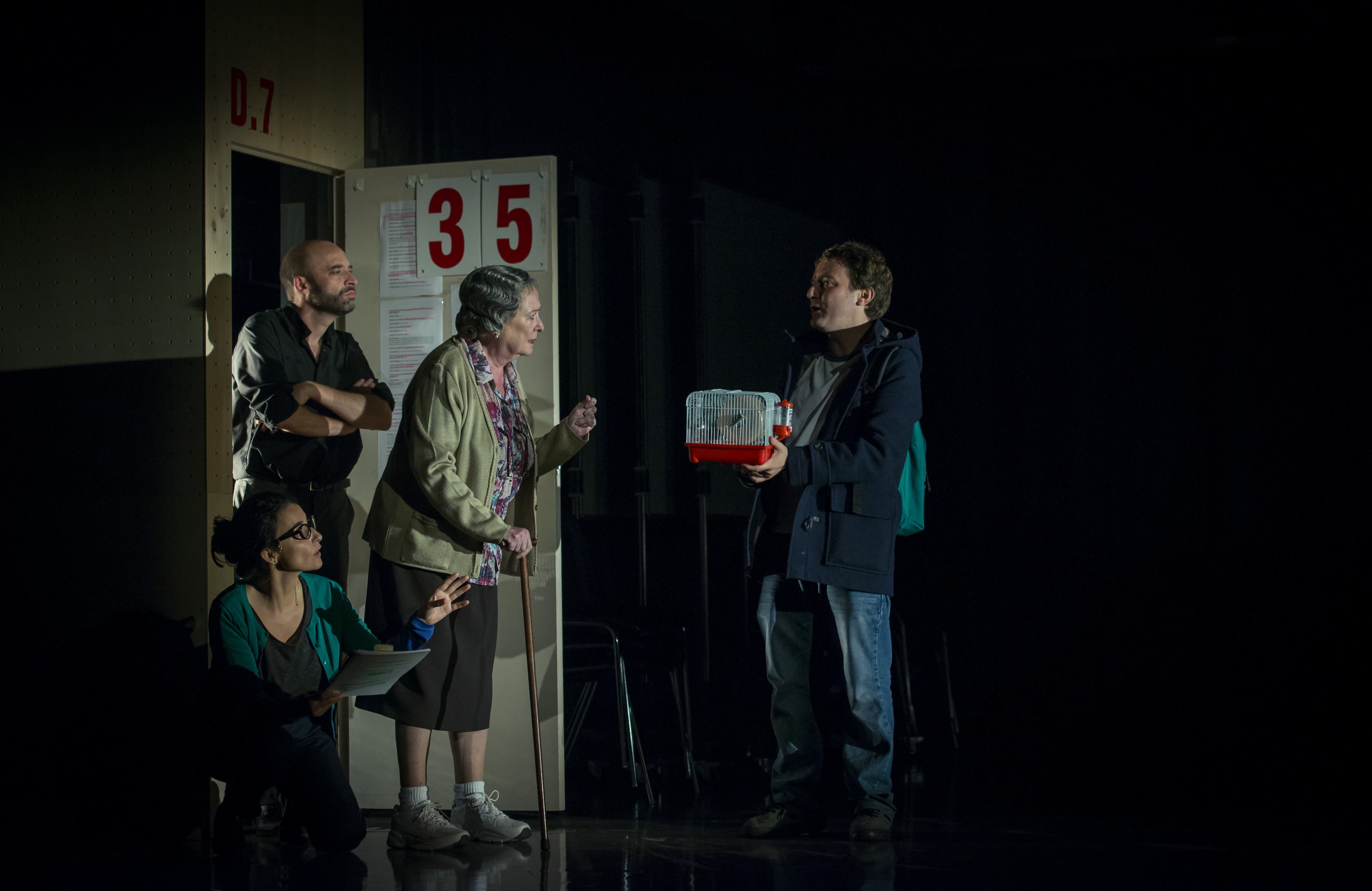 El curiós incident del gos a mitjanit