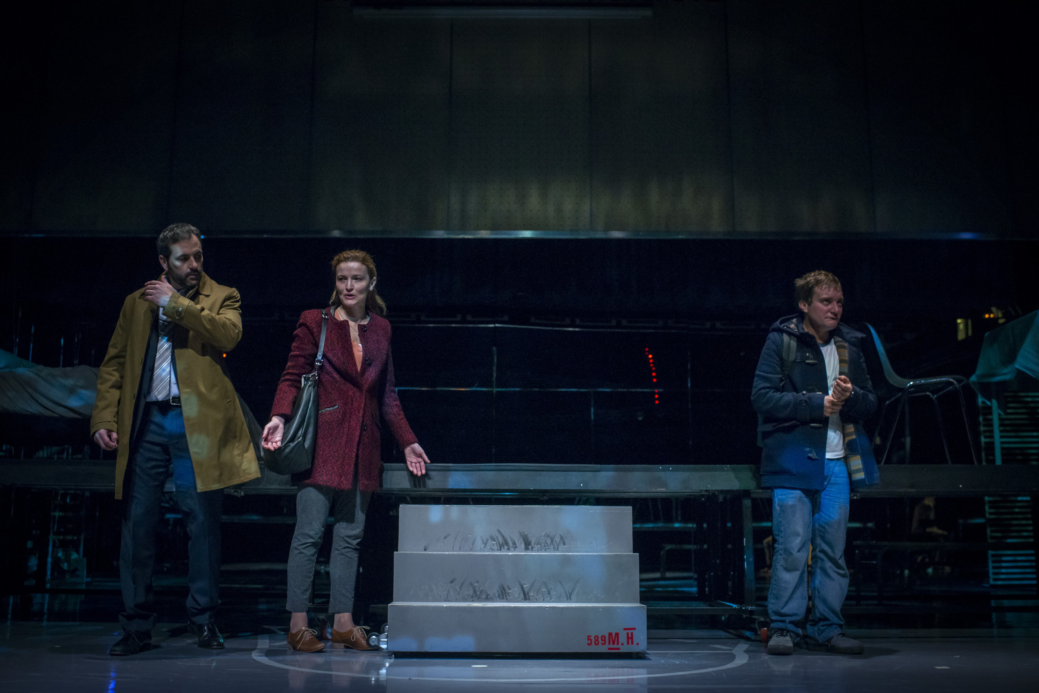 El curiós incident del gos a mitjanit