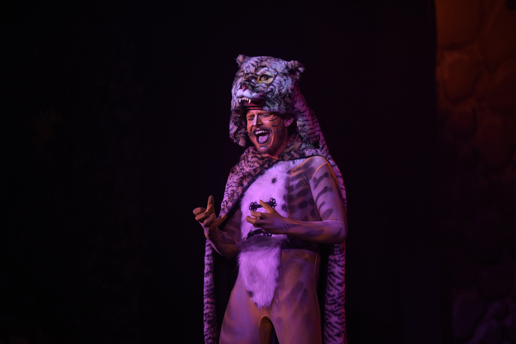 EL LLIBRE DE LA SELVA