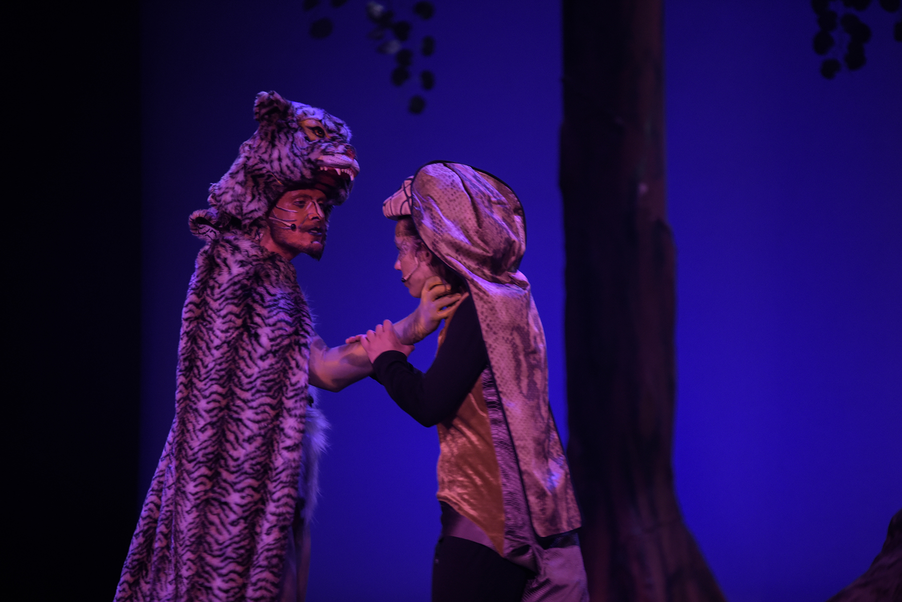 EL LLIBRE DE LA SELVA