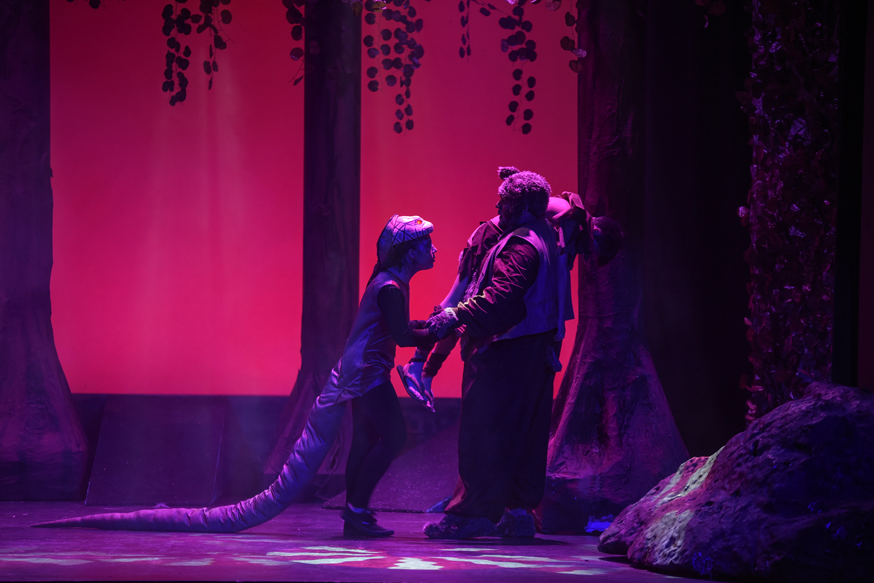 EL LLIBRE DE LA SELVA