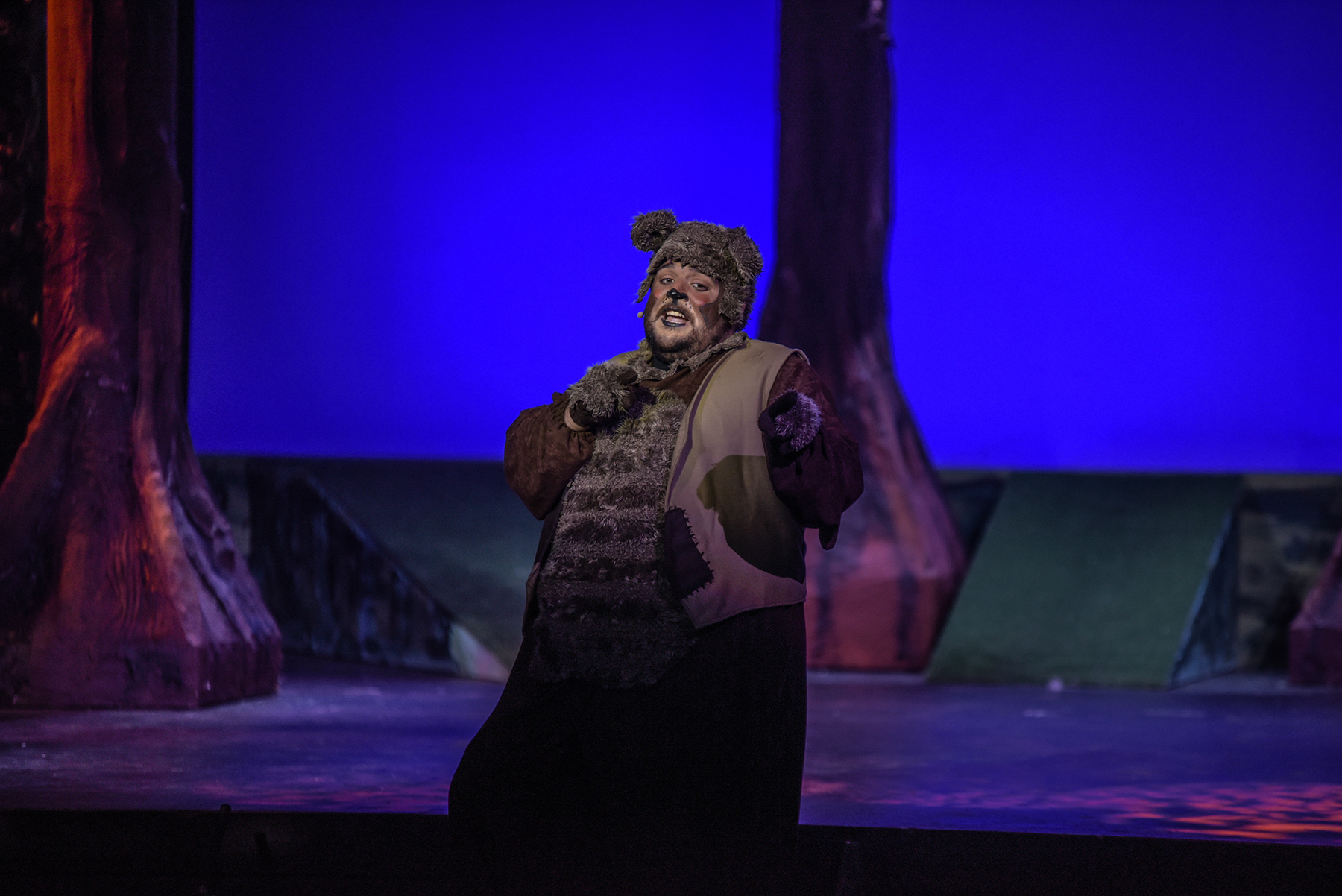 EL LLIBRE DE LA SELVA