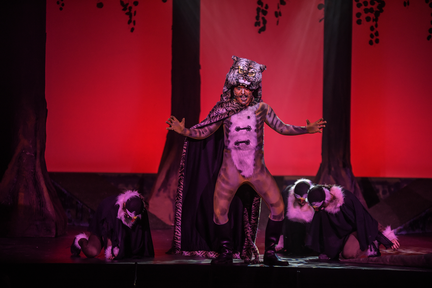 EL LLIBRE DE LA SELVA