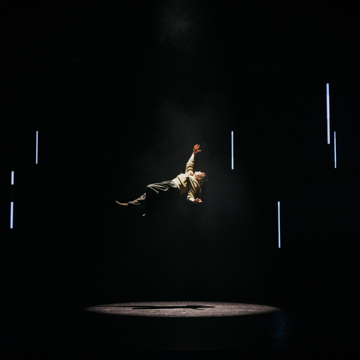 LA BRAMA DEL CÉRVOL